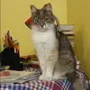 Отзыв от Зоя Шапошникова